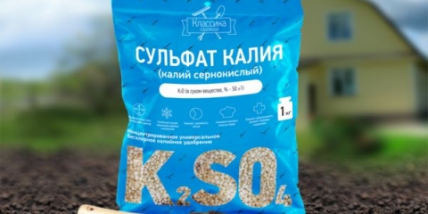 Kalijum sulfat: đubrivo, primena za paradajz